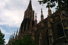 IMG_20150509_115236