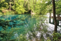 IMG_20150509_153851